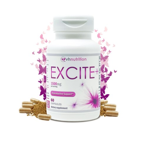 Excite Plus (USA)