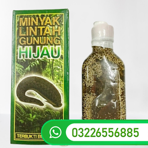 Minyak Lintah Gunung Hijau